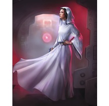 Fototapete Vlies DX4-046 Disney Edition 4 Star Wars Classic Leia 4-tlg. 200 x 250 cm