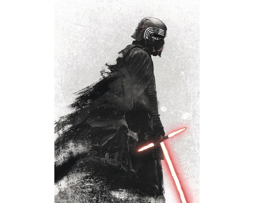 Fototapete Vlies DX4-074 Disney Edition 4 Star Wars Kylo Vader Shadow 4-tlg. 200 x 280 cm