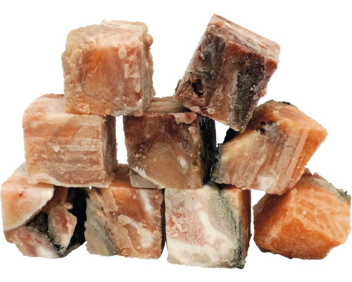 Stapel gefrorener Lachs in Würfelform