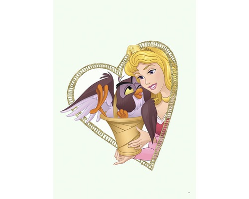 Illustration von Aurora und einer Eule in einem herzförmigen Rahmen.