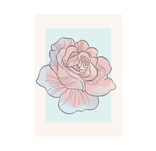 Illustration einer einzelnen Rose