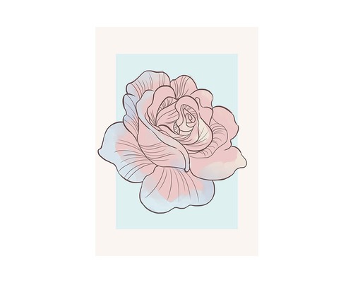 Illustration einer einzelnen Rose