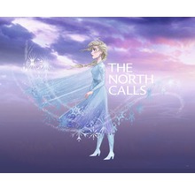 Illustration von Elsa aus Die Eiskönigin mit dem Schriftzug The North Calls