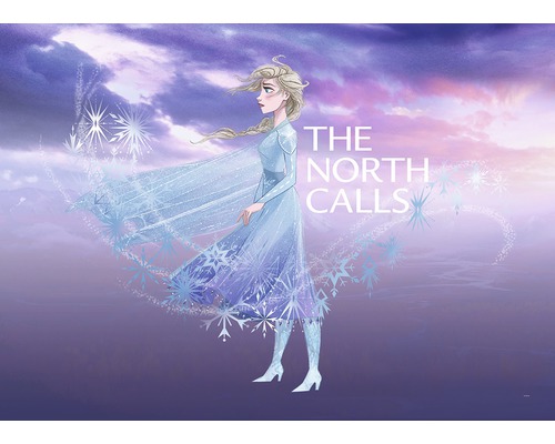 Illustration der Figur Elsa aus dem Film Die Eiskönigin – Völlig unverfroren mit dem Text The North Calls.