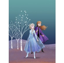 Illustration von Anna und Elsa aus Die Eiskönigin vor Baumkulisse