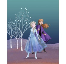 Illustration der Charaktere Anna und Elsa aus Die Eiskönigin