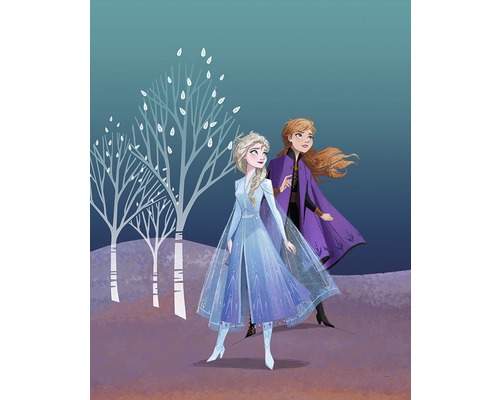 Illustration der Charaktere Anna und Elsa aus Die Eiskönigin