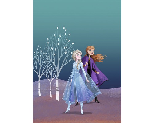 Illustration der Schwestern Anna und Elsa aus Die Eiskönigin