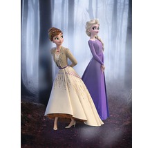Darstellung von Anna und Elsa aus dem Film Die Eiskönigin vor einem Wald