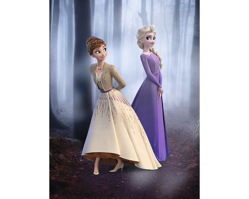 Darstellung von Anna und Elsa aus dem Film Die Eiskönigin vor einem Wald
