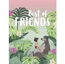 Illustration von Mowgli, Balu und dem Schriftzug Beste Freunde im Dschungel
