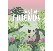 Illustration von Mowgli und Balu mit der Aufschrift Beste Freunde