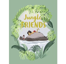 Illustration von Mogli, der auf Balu im Wasser liegt, umgeben von Dschungelpflanzen und dem Schriftzug Dschungelfreunde.