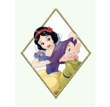 Schneewittchen und ein Zwerg in einem Diamantenrahmen