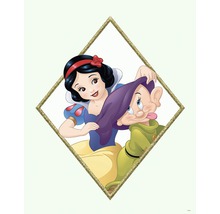 Illustration von Schneewittchen und einem Zwerg in einem Diamantenrahmen