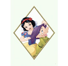 Schneewittchen und ein Zwerg in einem Diamantenrahmen