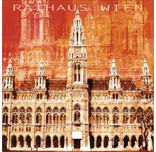 Wien Rathaus Abbildung