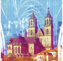 Magdeburger Dom Fassade