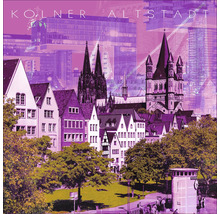 Kölner Altstadtansicht mit Gebäuden, Dom und Parkanlage