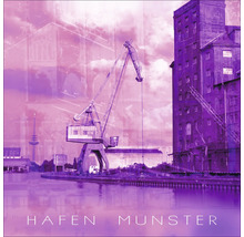Hafen Münster mit Kran und Gebäude