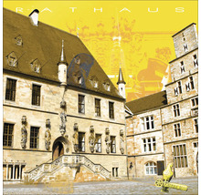 Illustration eines Rathauses mit Treppe und Statuen