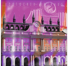 Darstellung des historischen Rathauses Rostock
