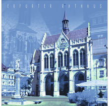 Erfurter Rathaus im Stadtbild
