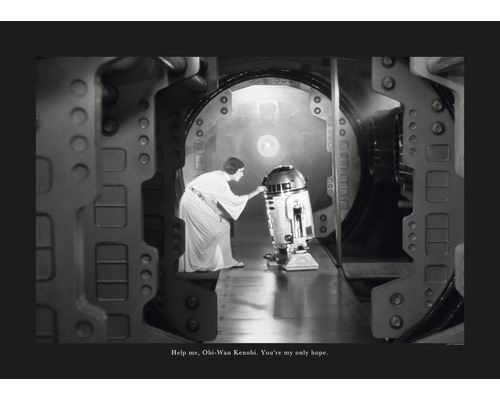 Schwarzweißaufnahme von Prinzessin Leia, die R2-D2 in einem Korridor berührt