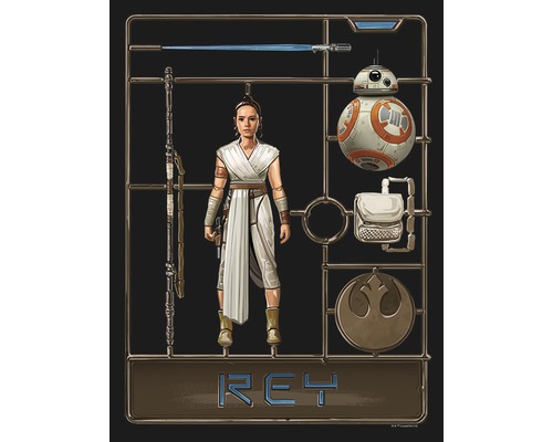 Star Wars Rey Bausatz mit Figur, Lichtschwert und BB-8