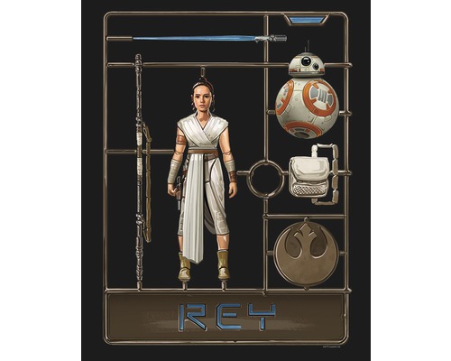 Star Wars Rey Figurenbausatz