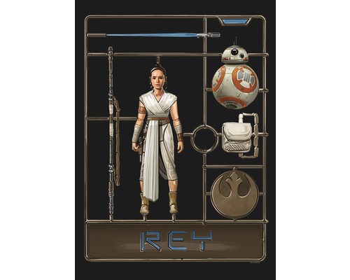 Star Wars Rey Modellbausatz mit Figur, Roboter und Zubehör