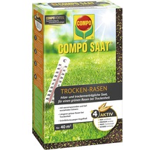 Rasensamen COMPO SAAT® Trockenrasen 1 kg Rasensamenmischung, hitzeresistent, klimaresistent für ca. 40 m²