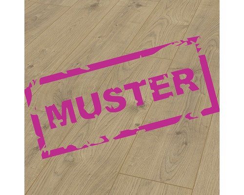 Handmuster Laminat Skandor 12.0 Silence Oak Handmuster Laminat Skandor 12.0 Silence Oak