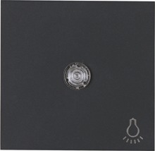 Schaltereinsatz mit Lichtsymbol