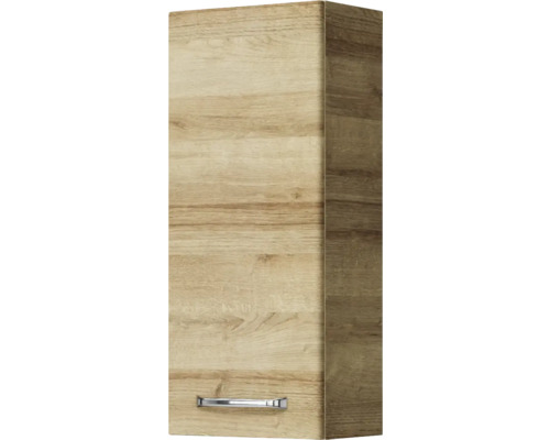 Hochschrank mit Holztür und Griff