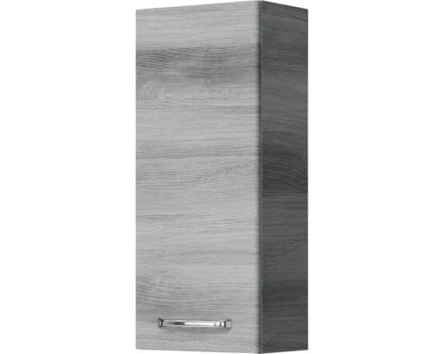 Hängeschrank mit Tür und Griff