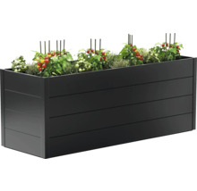 Hochbeet aus Metall mit Tomatenpflanzen und Kräutern