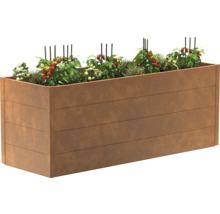 Hochbeet aus Holz mit Tomatenpflanzen und Kräutern