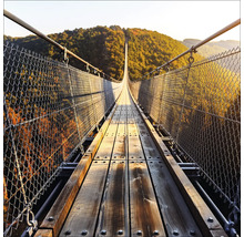 Holzhängebrücke mit Stahlseilen und Sicherheitsnetz