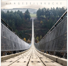 Hängeseilbrücke mit Holzsteg und Stahlseilen über bewaldetes Tal