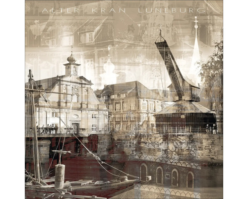 Historische Ansicht von Lüneburg mit altem Kran und Gebäuden