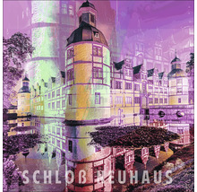 Schloss Neuhaus Ansicht mit Wasserreflektionen