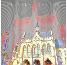 Erfurter Rathaus Fassade mit Statue