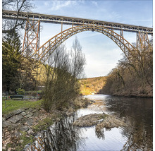 Landschaftsbild einer hohen Eisenbahnbrücke über einen Fluss, umgeben von Bäumen.