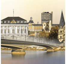 Stadtansicht von Bonn mit Brücke über den Rhein