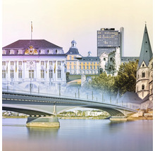 Stadtbild mit Brücke und verschiedenen Gebäuden