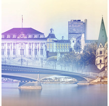 Ansicht von Bonn mit Brücke über den Rhein, Gebäuden und Turm