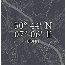 Stadtplan von Bonn mit Koordinaten