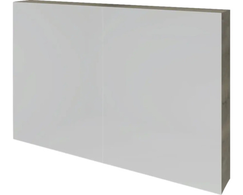 Spiegelschrank Sanox 100 x 12 x 65 cm charleston 2-türig doppelt verspiegelt