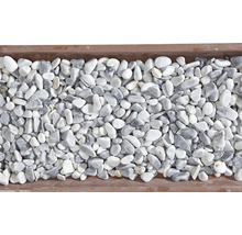 Dekorative graue und weiße Zierkieselsteine in einem Pflanzgefäß